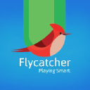 Flycatcher Toys Coupon Code